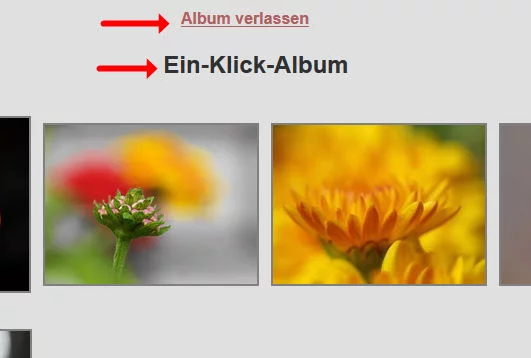 AM 6.webp