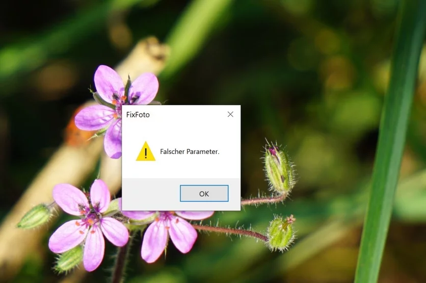 Fixfoto2_korr.webp