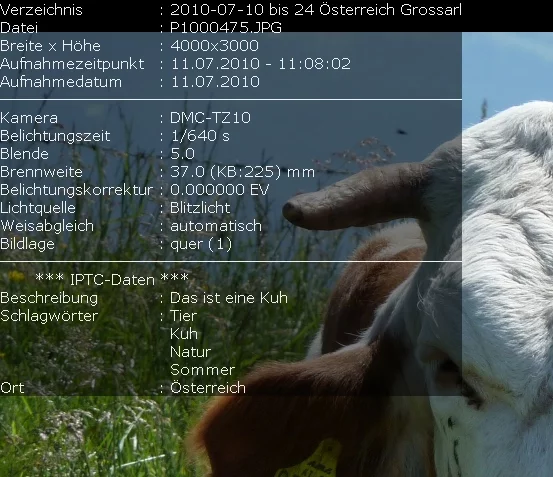 kuh2_akg.webp