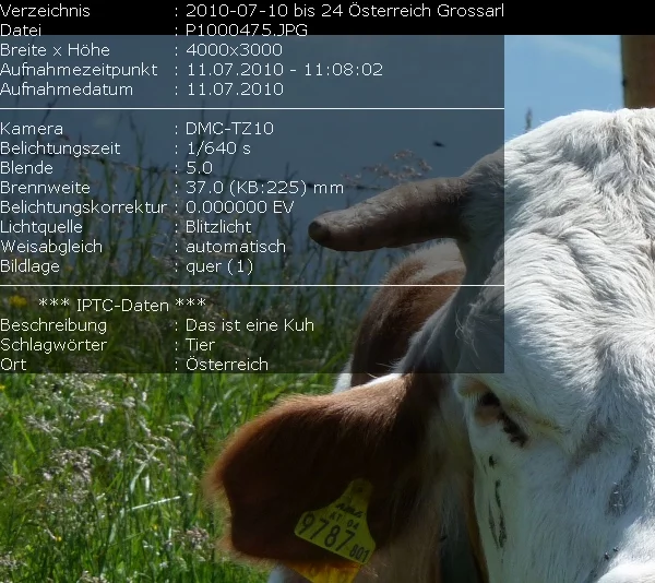 kuh_akg.webp