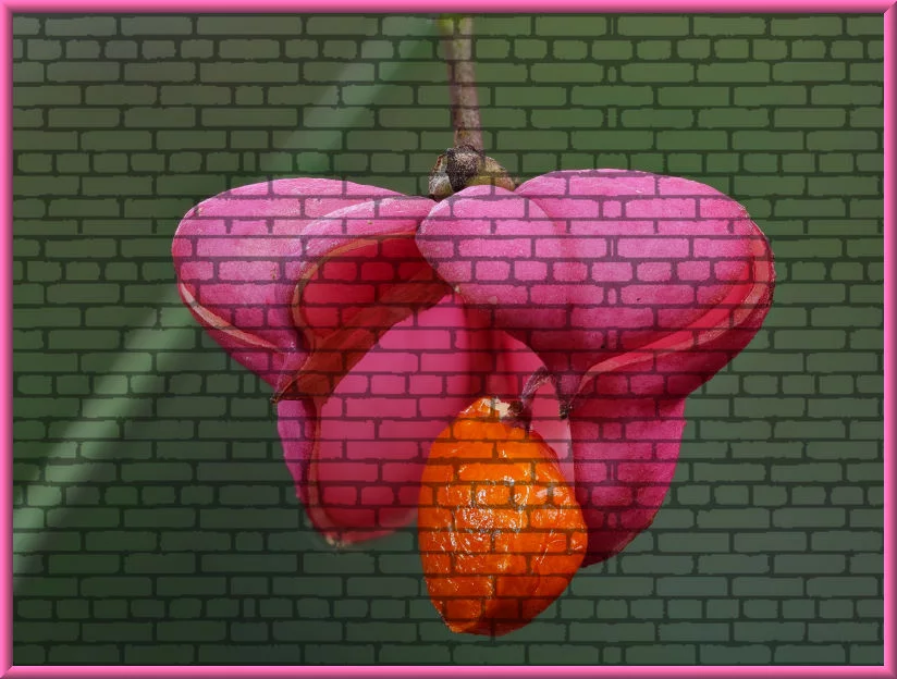 Mauer_überlagert.webp