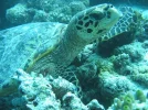 mini-IMG_0021.webp