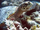 mini-IMG_0021_korrig_grau.webp