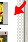 Area.webp