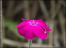 rpict9934_2_rawdial_c43.webp