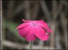 rpict9934_rawshooter-01.webp