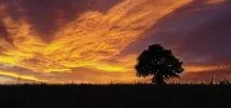 sky.webp