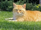 Balti_korr.webp
