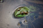 DSC_0069.webp