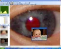 rotauge.webp