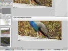 Screenshot.webp