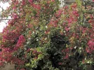 Batchergebnis.webp
