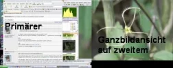 Primaer1.webp