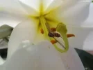 Beispiel.webp