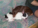 Big+ButaFehlerbild.webp