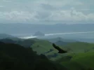 usa2.webp