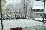 BH011.webp