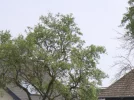 RAW2.webp