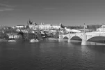 comp_IMG_3461_bw.webp