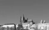 comp_IMG_3461_bw_crop.webp
