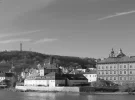 comp_IMG_3462_bw_crop.webp