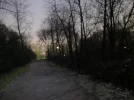 P1020549_700.webp