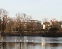 IMG_0645_crop.webp