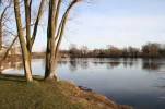 IMG_0646_800.webp