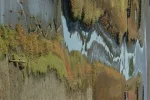 IMGP2411_klein.webp