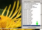 MFDL_1.webp