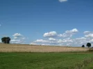 Original.webp