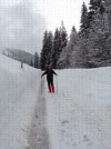 P1040868.webp