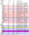 processexplorer.webp