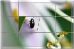 Gekachelt, gedreht 2.webp