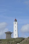 P1060868_.webp