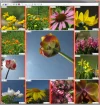 seitenausgabe.webp
