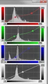 crossing.webp