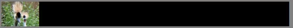 bannermaster.webp