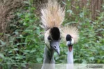 balken-unten.webp