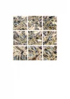 Fenster_800px.webp