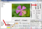 Logo einblenden_Transparenz.webp