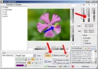 Logo einblenden_Transparenz2.webp