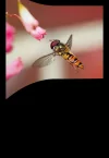 W-Shift_Ergebnis.webp