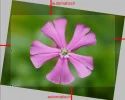 New02_ff.webp