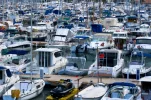 DSC_0943a.webp