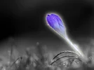 2014-03-01 07-53-38 Aura.webp