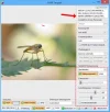 RAW_Import_Aufhellen.webp