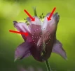 Retusche_2.webp