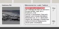 1.webp