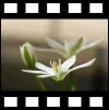 Rahmen_Filmstreifen.webp